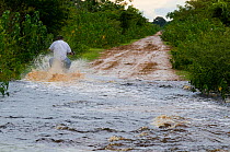 Motorcyclist riding through flooded road in rainy season, Trinidad, Beni, Bolivia, January 2008