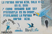 Sign of the conservation programme for the Blue throated / Wagler's macaw (Ara glaucogularis) Trinidad, Beni, Bolivia, Critically endangered species, January 2008.