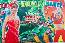Colourful poster with young women encouraging people to protect the biodiversity of Bolivia, including macaws, turtles, toucans, Trinidad, Beni, Bolivia, January 2008