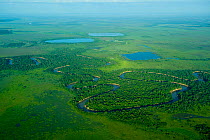 Aerial view of river and fringing forest in the municipality of Trinidad, Beni state, Bolivia, June 2008
