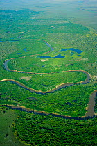 Aerial view of river, fringing forest and wetlands, natural habitat of the Blue throated / Wagler's macaw (Ara glaucogularis) Santa Ana de Yacuma, Beni, Bolivia, Critically endangered species, July 20...