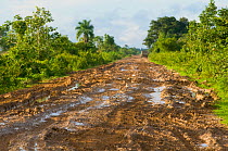 Thick mud on road, Loreto, Trinidad, Beni, Bolivia, January 2008