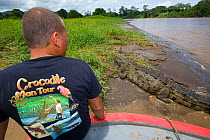 Jason Vargas Aguerro 'Crocodile Man' observing an American Crocodile (Crocodylus acutus). Carara National Park, Tarcoles, Costa Rica, August 2008.