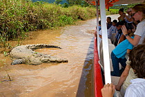 Tourists on the 'Crocodile Man Tour' watching American Crocodile (Crocodylus acutus). Carara National Park, Tarcoles, Costa Rica, August 2008.