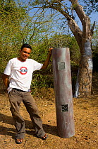 Conservationist showing front panel of artificial nests used to rear Yellow-shouldered Amazons (Amazona barbadensis) in nesting holes. Isla Margarita, Nueva Esparta, Venezuela, 2007.
