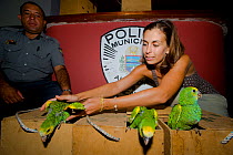 Vet and policeman releasing young Yellow-shouldered Amazons (Amazona barbadensis) from boxes. Isla Margarita, Nueva Esparta, Venezuela, 2007.