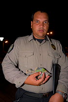 Policeman holding a young Yellow-shouldered amazon parrot (Amazona barbadensis) removed from nest box for inspection, part of a conservation project. Isla Margarita, Nueva Esparta, Venezuela, 2007.