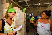 Veterinarian Mar Carascos and volunteer with Yellow-shouldered Amazon (Amazona barbadensis), part of a conservation project on the island. Isla Margarita, Nueva Esparta, Venezuela, 2007.