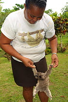 Volunteer exercising young Brown Throated Three Toed Sloth (Bradypus variegatus) at the sloth orphanage.   Aviarios del Caribe Sloth Refuge, Costa Rica, 2008.