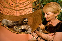 Brown-throated Three Toed Sloth (Bradypus variegatus) and Hoffmann's Two Toed Sloths (Choloepus hoffmanni) babies held byorphanage owner, Judy Avey-Arroyo. Aviarios del Caribe Sloth Refuge, Costa Rica...