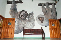 Wall painted with sloths, inside the sloth research and refuge centre.  Aviarios del Caribe Sloth Refuge, Costa Rica, 2008.