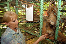 Judy Avey-Arroyo, sloth refuge owner, with Hoffmann's Two Toed Sloth (Choloepus hoffmanni) in the sloth refuge.  Aviarios del Caribe Sloth Refuge, Costa Rica, 2008.