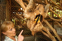 Judy Avey-Arroyo, sloth refuge owner, with Brown Throated Three Toed Sloth (Bradypus variegatus). Aviarios del Caribe Sloth Refuge, Costa Rica, 2008.