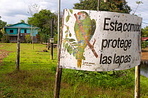 Roadsign about macaw protection. Boca Tapada, Biological Corridor San Juan La Selva, Costa Rica. 2008.