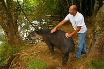 Juan Jose Rojas, zoo director at La Marina Wildlife Rescue Centre, with Baird's Tapir (Tapirus bairdii). Costa Rica, 2008.