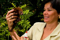 Conservation volunteer with a baby Rothschild's Porcupine (Coendou rothschildi). La Marinas Wildlife Rescue Centre, Costa Rica, 2008.