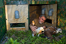 Apparatus set up for the release of Spanish Imperial Eagles (Aquila adalberti). Chicks use the artificial nest and food is delivered through the tubes to minimise human contact. Cadix, Sandra Moreno,...