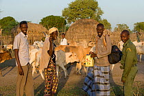 Herdsmen with their cattle, and a park ranger, in front of traditional dwellings. Ishaqbini Reserve, Kenya, 2009.