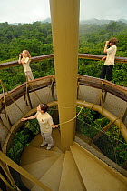 Children climbing stairs to observe birds from the Canopy Tower bird observatory. Canal rainforest, Panama City region, 2008. Model released.