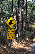 Roadsign warning drivers to drive slowly in koala areas. Kangaroo Island, South Australia.