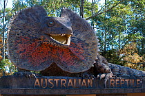 Frilled lizard model at the entrance to the Australian Reptile Park, Gosford, New South Wales.