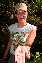Catalina Silva, biologists on a frog surveying expedition, with a Cauca Poison Frog (Ranitomeya bombetes), an endangered species. Valle Dagua, Cali, Colombia, January 2010.