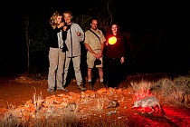 Visitors on nocturnal tour watching various desert  mammals: Brush-tailed bettong (Bettongia penicillata), Rufous hare-wallaby and Greater Bilby. Alice Springs nature park, Northern Territories, Austr...