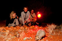 Visitors on nocturnal tour watching Burrowing Bettong (Bettongie lesueur). Captive. Desert Park, Alice Springs, Northern Territory.