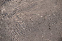 'The Hands', one of the patterns of the Nazca Lines. These are lines and patterns made around 300-600 AD by removing stones from the desert floor to expose the ground beneath. Their purpose remains un...