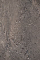 'The Hands', one of the patterns of the Nazca Lines. These are lines and patterns made around 300-600 AD by removing stones from the desert floor to expose the ground beneath. Their purpose remains un...