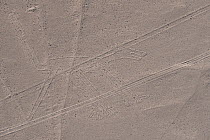 'The Dog', one of the patterns of the Nazca Lines. These are lines and patterns made around 300-600 AD by removing stones from the desert floor to expose the ground beneath. Their purpose remains uncl...