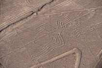 'The Spider', one of the patterns of the Nazca Lines. These are lines and patterns made around 300-600 AD by removing stones from the desert floor to expose the ground beneath. Their purpose remains u...
