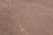 'The Condor', one of the patterns of the Nazca Lines. These are lines and patterns made around 300-600 AD by removing stones from the desert floor to expose the ground beneath. Their purpose remains u...