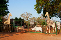 Entrance and information signs for the Fathala reserve with cut-out giraffe, rhino and antelope. Toubacouta, Senegal.
