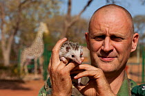 Vincent Dethier, Reserve Director at Fathala, with a Four-toed Hedgehog (Aterlix albiventris). Toubacouta, Senegal.