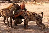 Vincent Dethier, reserve director at Fathala, interacting with tame Spotted Hyaenas (Crocuta crocuta). Toubacouta, Senegal.
