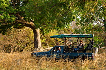 Tourists on safari in Fathala reserve. Toubacouta, Senegal.