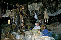 Chinese animal medicine market, including pangolin, snake skins, ungulate horns, and other unidentified dead animals. Cengdu, Sichuan, China, 1983.
