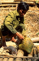 Reserve guard with confiscated animals, including a baby Malayan / Javan / Sunda Pangolin (Manis javanica). Nam Cat Tien, Vietnam, 1992.
