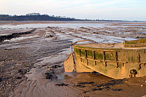 The river Severn estuary at low tide, near Sharpness, UK. Semi-sunken barges were placed at estuary edge to consolidate banks and reduce erosion. March 2011.