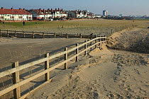 Effect of blown sand from destroyed sand dune, illustrating poor land management decisions (relocation of sand dune) Merseyside, UK 2012