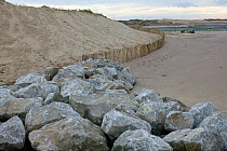 Boulders placed on the beach to encourage displacement of newly created sand dune by sea and thus raising level of beach in an attempt to reduce coastal erosion and protect Hightown village.  This man...