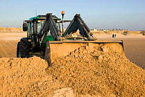 Sand being deposited from eroded sand dune to maintain high level of beach and prevent coastal erosion of sand dunes and sea level rise on beach at Crosby, adjoining Anthony Gormley 'Another Place ' s...
