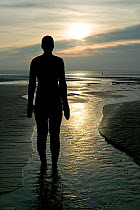 Anthony Gormley sculpture, one of 100 on Crosby Beach at low tide, Merseyside, UK 2012