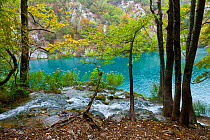 Stream flowing into lake, Plitvice Lakes National Park, Lika, Croatia, Europe, October 2011