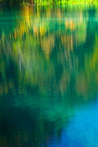 Colourful reflections in water, Plitvice Lakes National Park, Lika, Croatia, Europe, October 2011