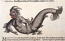 Woodcut illustration of Satyrus marinus - a sea monster or mermaid of partially human form, with old colouring. Gesner 'Icones Animalium' publ. Christof Froschover, Zurich, 1560. Gesner reproduced thi...