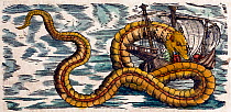 Illustration of Sea Serpents from Gessner's 'Historia Animalium', volume 4, 1558. Later hand colouring. Gessner's accounts included creatures which exist, and creatures which we now know do not. There...