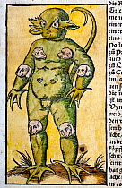 Woodcut illustration of the 'Monster of Krakow' was reported widely in the mid sixteenth century as a real occurence. It was seen by many protestants as a monstrous symptom of divine displeasure at th...