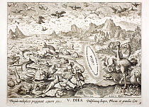1674 Copperplate engraving depicting 'Creation of the birds, fishes and large marine life' (Genesis 1. 20-23 Day 5) under the Hebrew divine word of God. 'Let the waters bring forth abundantly the movi...